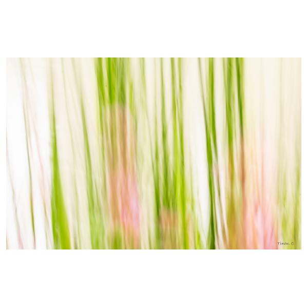 PHOTO84, CLUB, 84 , LUBERON